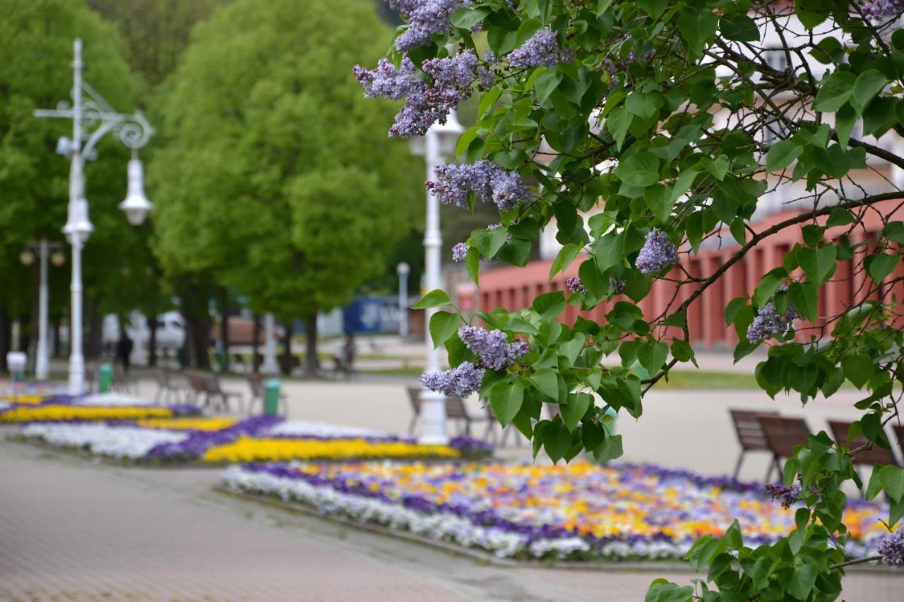 Przy Pijalni Apartmán Krynica Zdroj